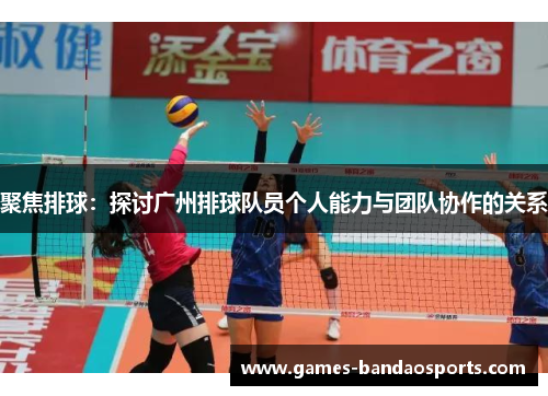 聚焦排球：探讨广州排球队员个人能力与团队协作的关系
